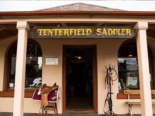 Tenterfield Saddler