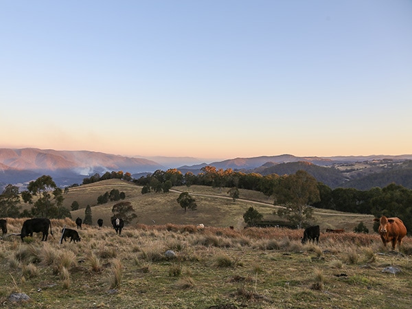 Great Dividing Range, Tenterfield