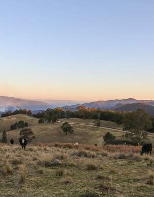 Great Dividing Range, Tenterfield