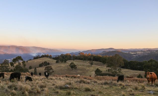 Great Dividing Range, Tenterfield