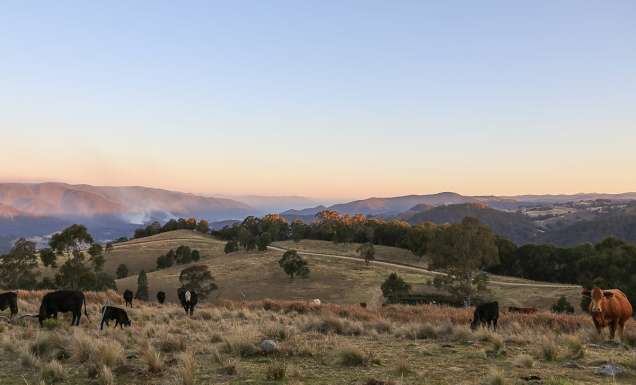 Great Dividing Range, Tenterfield