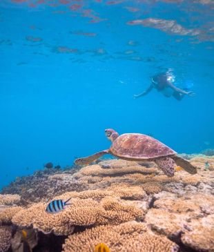 <p><i>10 incredible things to do</i> in <strong>Bundaberg</strong></p>
