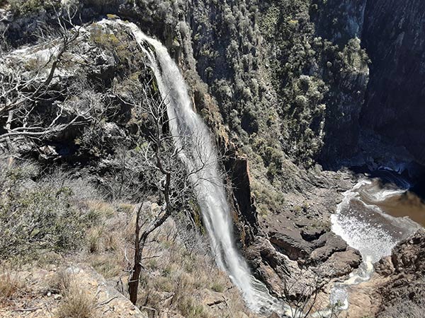 Dangars Falls lookout, Oxley Rivers National Park, Walcha