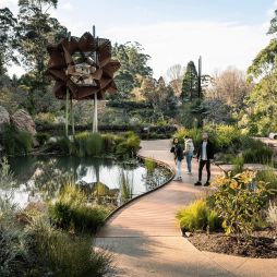 Gardens in Yarra Valley