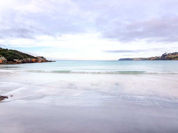 Scenic shot of Boat Harbour Beach in Tasmania