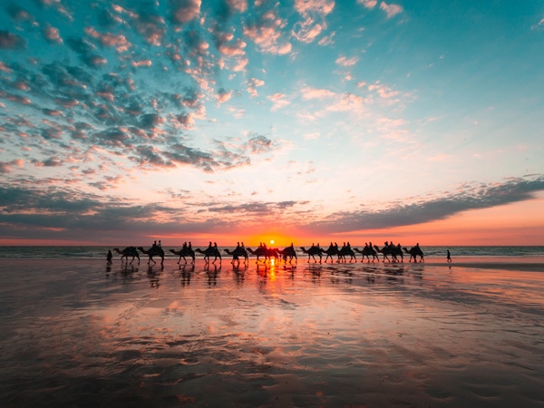 Camels on cable Beach in Broome at sunset - one of the best beaches in Australia