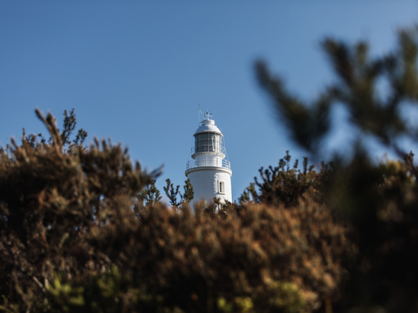 a scenic view of the Cape Bruny Lighthouse