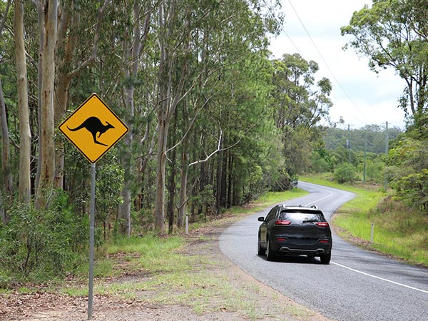 electric vehicle on the road