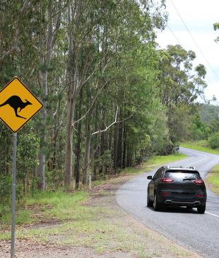 <p><i>EV road trips</i>: What you need to know before you go</p>
