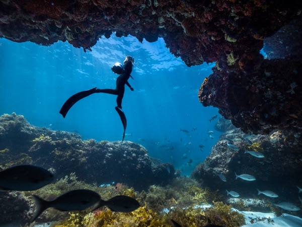 Scuba diver a Mettams Pool