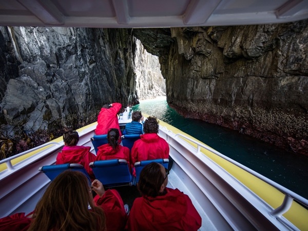 guests entering a sea cave on a Bruny Island Wilderness Cruise by Pennicott Wilderness Journeys