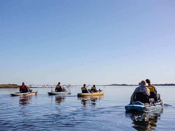 Launceston Kayak Tours, George Town, things to do in Tamar Valley