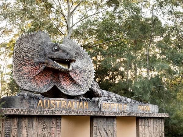 Australian Reptile Park on the Central Coast