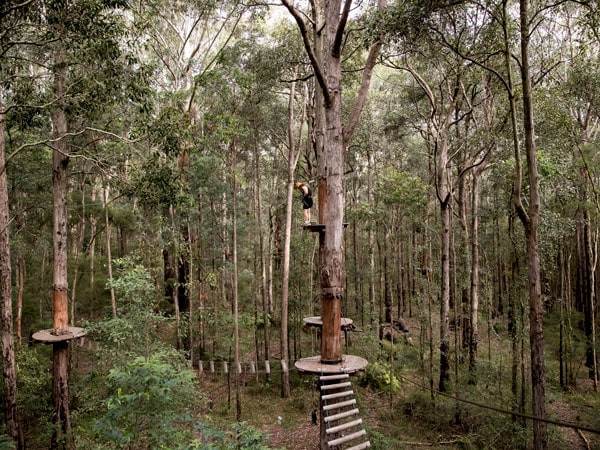 Treetops Adventure Park on the Central Coast