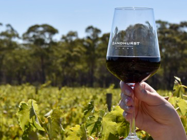 holding a glass of wine against a scenic vineyard, Sandhurst Ridge Winery & Vineyard