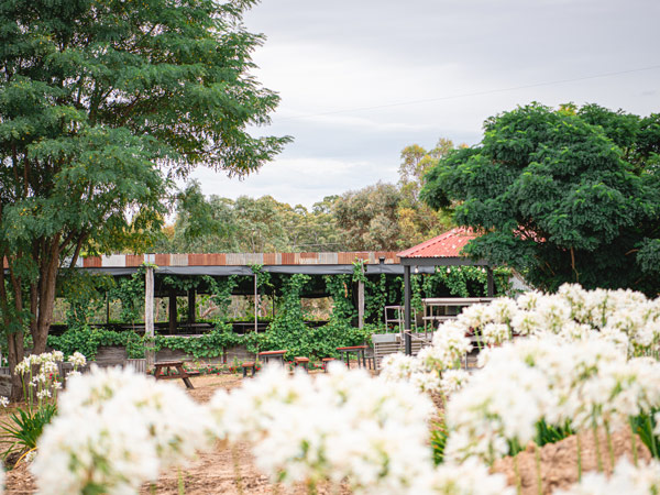 the picturesque winery and cellar door at St Anne’s Winery Bendigo