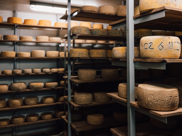 a wide array of artisan cheese display on Bruny Island