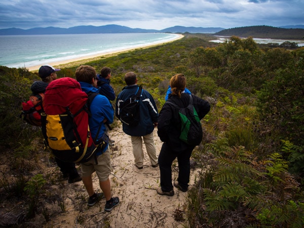 a group of hikers standing on top of a rock overlooking The Neck, Bruny Island 