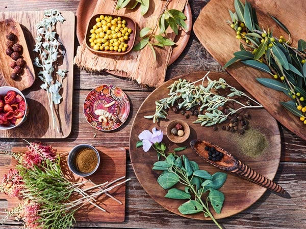 Bush-Food-Experience-with-ili-bush-figs-quandongs