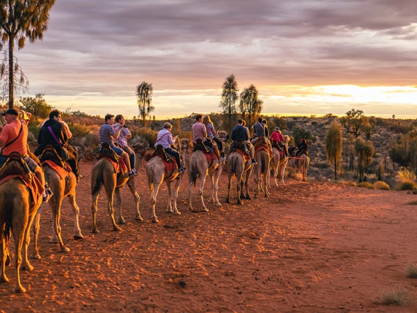 a group of travellers riding a camel during sunset in Uluru
