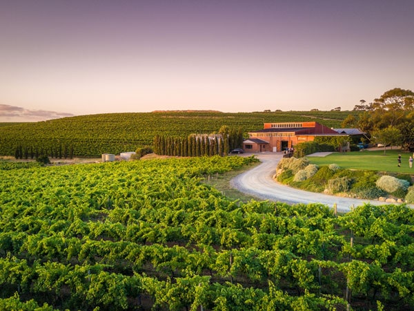 Coriole Vineyards at McLaren Vale 