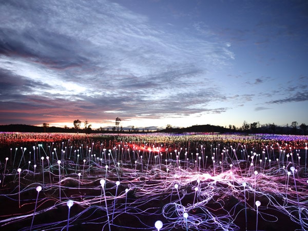 Field of Light at Uluru