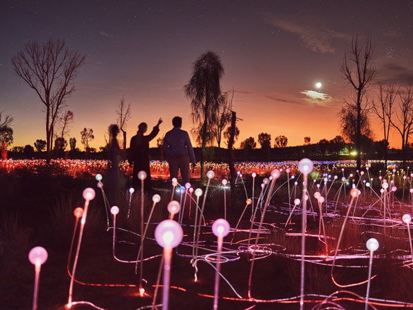 a field of lights glowing vibrantly