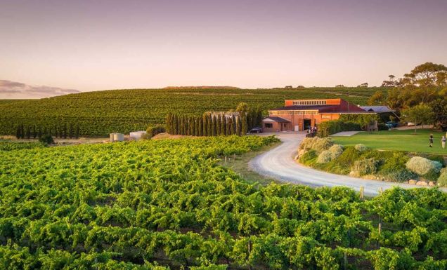 the outside view of the expansive Coriole vineyards