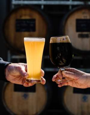two people clinking their glasses filled with cold brew