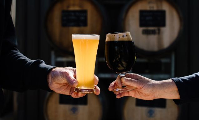 two people clinking their glasses filled with cold brew