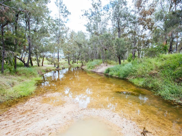 a natural spring the flows into the creek