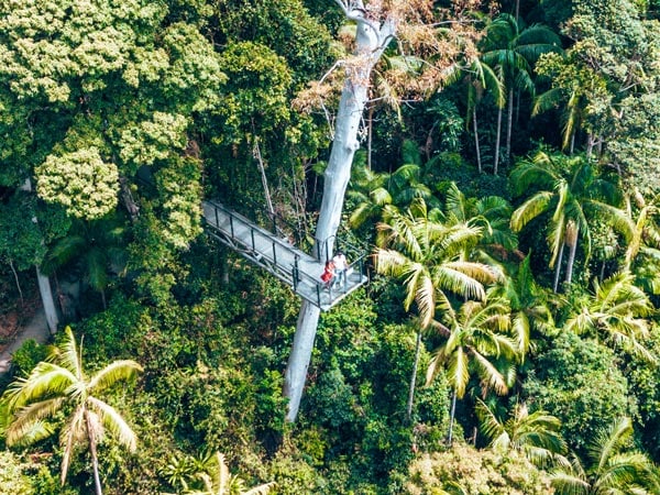 Mount Tamborine sky walk Scenic Rim