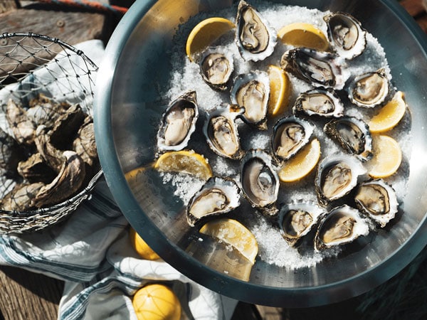 Sydney Oyster Farm Tours in the Hawkesbury River
