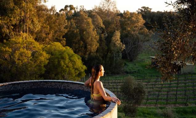 Woman in the pool overlooking vines at Rogasch Cottage in the Barossa Valley