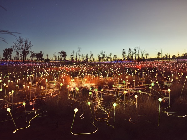 the spectacular field of light in Uluru