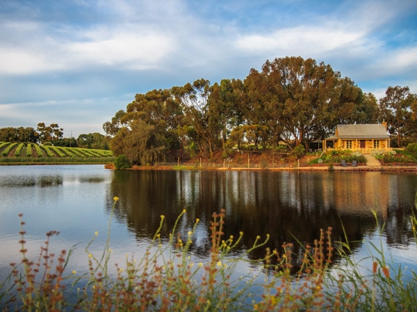 a cottage set on the lakeside