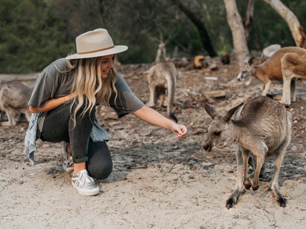 Feed kangaroos at Walkabout Park Central Coast