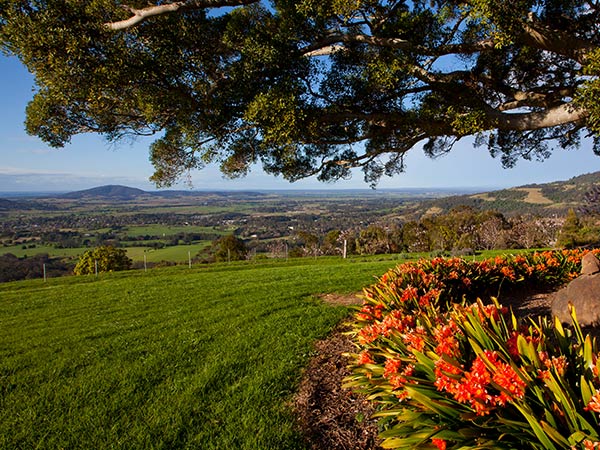 Mt Hay Retreat gardens