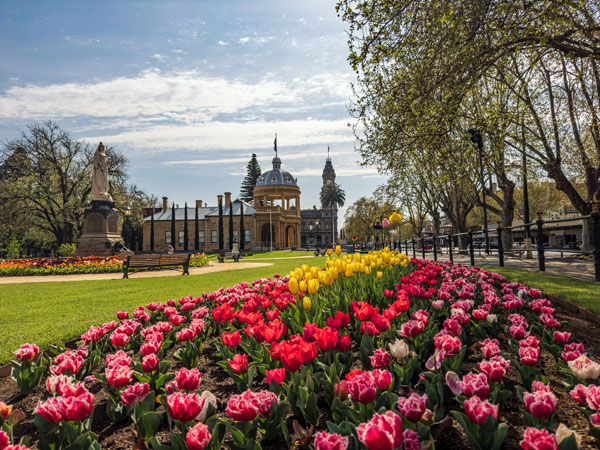 colourful flowerbeds at Rosalind Park