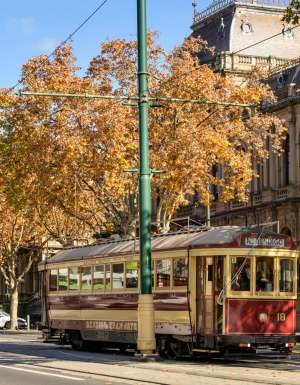 a Vintage Talking Tram touring around Bendigo