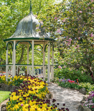 <p><i>Top 20 best things to do</i> in <strong>Bowral</strong></p>

