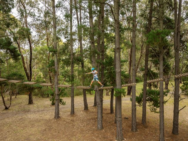 a person crossing a suspension bridge under a forest canopy at Earth Adventure, McLaren Vale