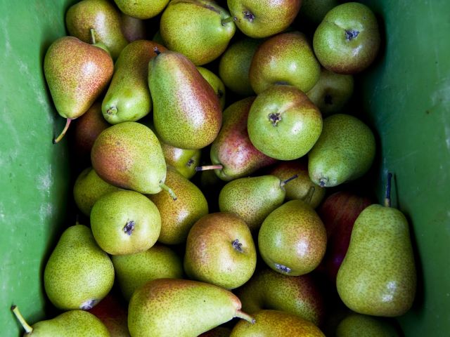 fresh produce at Willunga Farmers’ Market