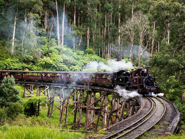The Puffing Billy train in the Dandenong Ranges