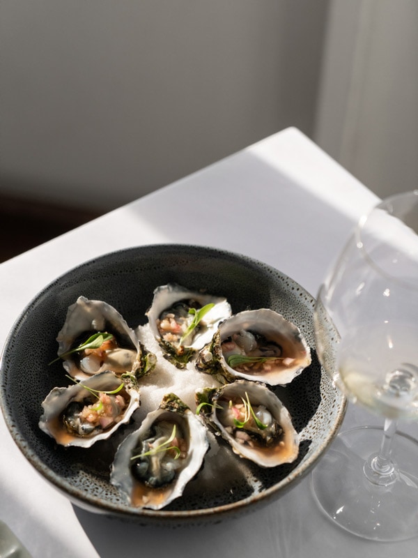 fresh oysters on a bowl