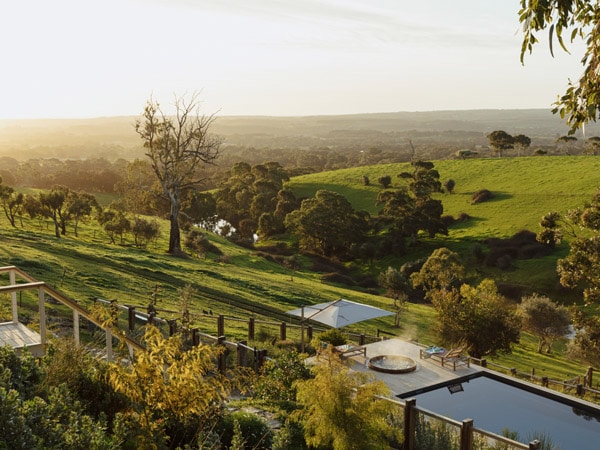 the verdant landscape surrounding McLaren Vale wineries