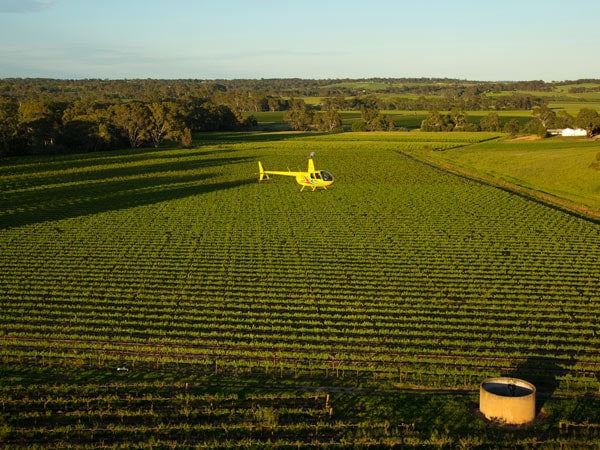 Barossa Helicopters flying above vineyards