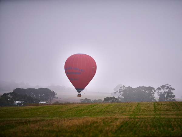 a hot air balloon over the Barossa Valley