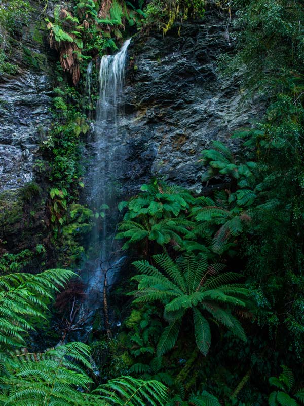 a close-up photo of Lovers Falls in Corinna rainforest