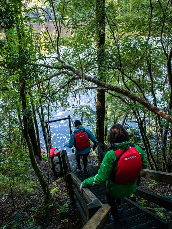 a mother and daughter going down the forest staircase